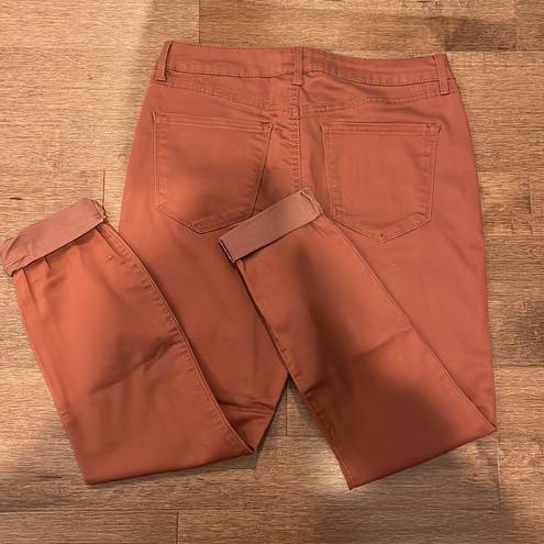 REWASH  Rust Brown Skinny Jeans