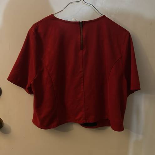 Blush Noir Crimson Faux Suede Crop Top Size Large Cutout Design Fall Winter