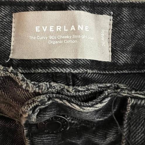 Everlane  Curvy 90's Cheeky Straight Leg Ankle Jeans Button Fly Hartford Night 26