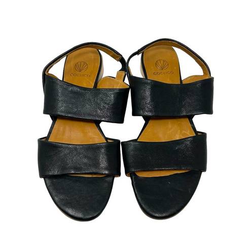 The Cove Coclico Sandal in Black Leather Flats Size 36.5 US 6.5