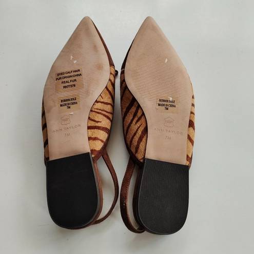 Ann Taylor NEW  Brown Zebra Print Calf Hair Fur Pointed Toe Flats WOMENS SIZE 7M