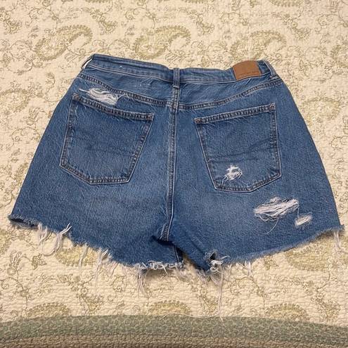 American Eagle Outfitters High Rise Mom Shorts