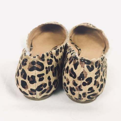 Jack Rogers  | flats cheetah print pointy toe 7.5