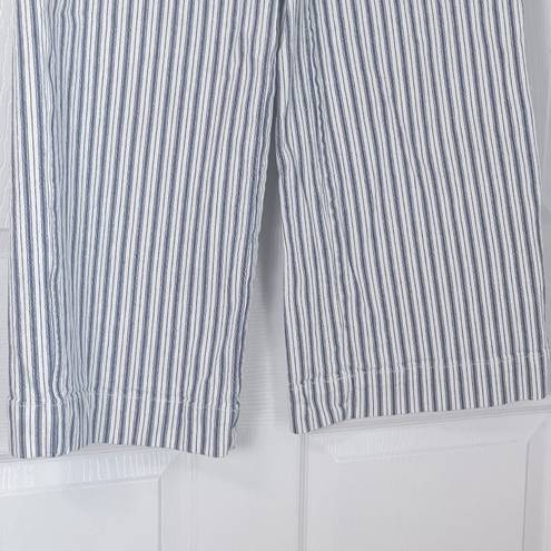 Madewell Emmett Wide Leg Crop Blue & White Striped Button Fly Pants Size 31