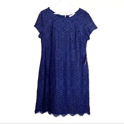 Laundry by Shelli Segal Laundry | Navy Lace Dress | Sz 14