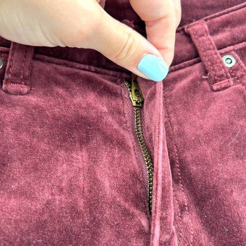 Day & Night Sundance  Velveteen Jeans Pants Purple Size P6 Petites