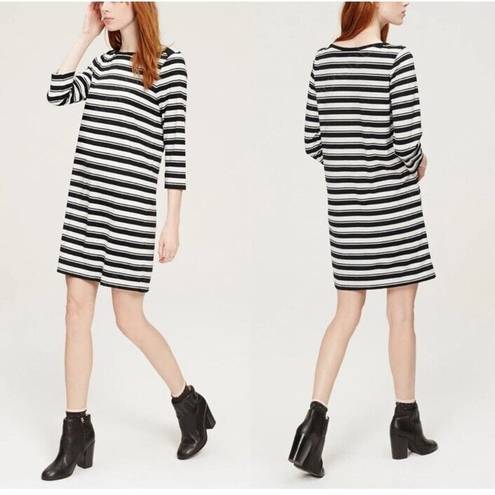 The Loft  Women’s Medium Ahoy Striped Boatneck Shift Dress 3/4 Sleeve Black/White