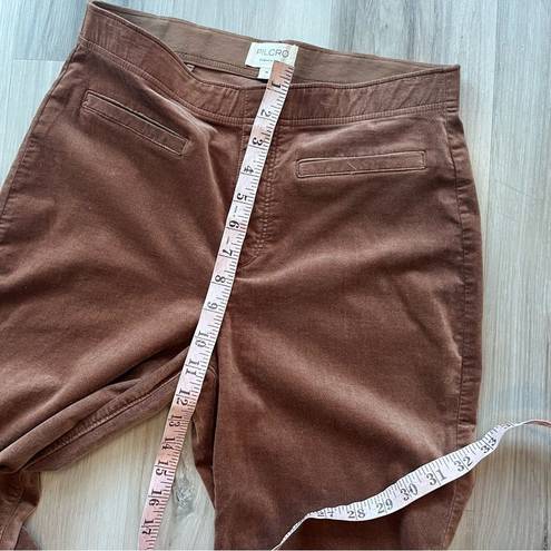 Pilcro  28 Brown Flare Leg Corduroy Pants