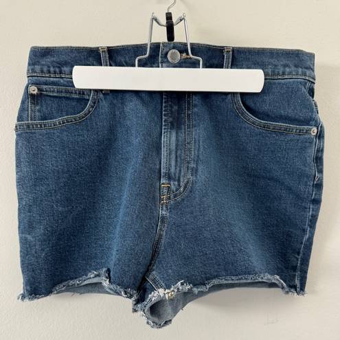 Everlane  The Way-High Denim Short