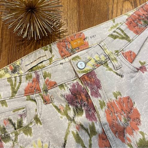 Pilcro  NWT Anthropologie Floral Ikat Stet Slim Pants Jeans Size 31