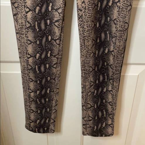 Wild Honey  snakeskin stretch leggings small