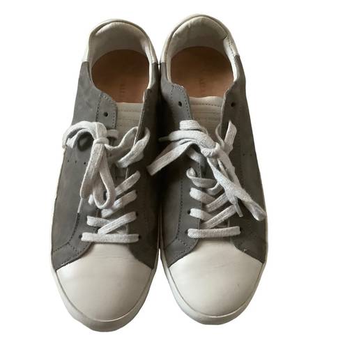 All Saint safia grey suede lace up sneakers size 7 women’s tennis casual shoes