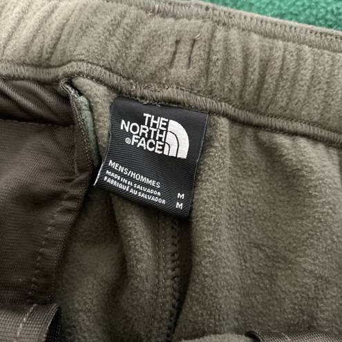 The North Face the north fleece fleece joggers / sweatpants 