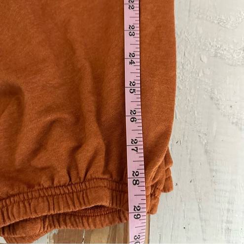 Treasure & Bond  Boyfriend Sweatpants Rust Umber Size 3X