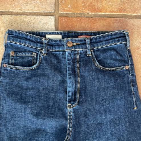 Pilcro  high waist classic ankle  jean size 26Tall