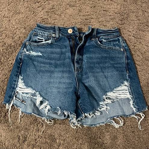 American Eagle  Shorts