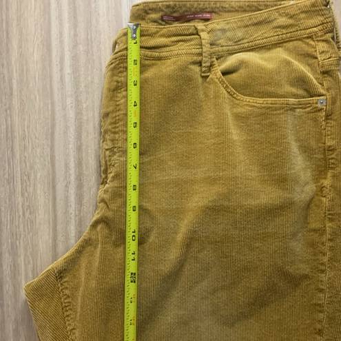 Pilcro  Tan Corduroy Slim Boyfriend Crop Pants - Size 22W