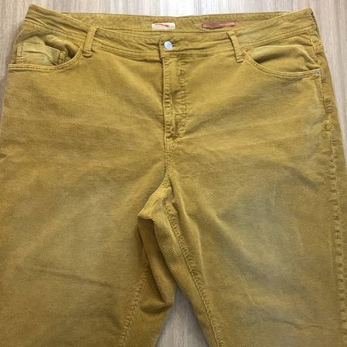 Pilcro  Tan Corduroy Slim Boyfriend Crop Pants - Size 22W