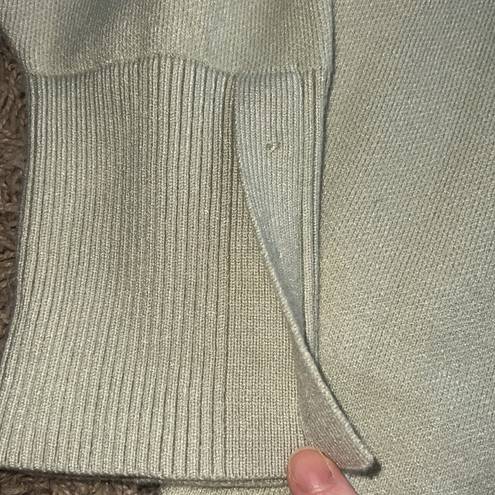 Tahari Tjmaxx Fitted Light Green Sweater