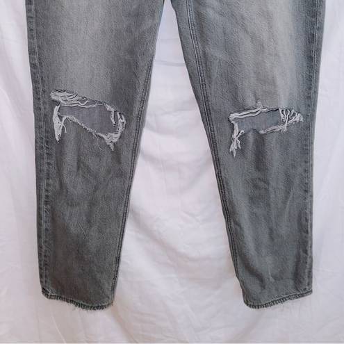 American Eagle AE Gray Wash Denim High Waisted Mom Jean size 10