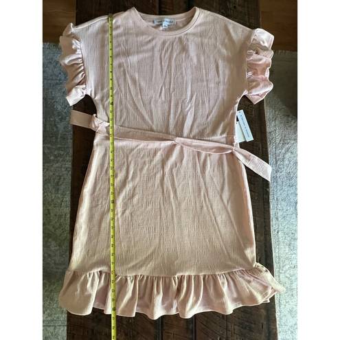 Emma & Michele  Pale Pink dress with Ruffled sleeves and  hem, Size Medium