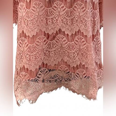 Absolutely Famous  💓LADIES XL💓PINK LACE TOP TUNIC SHORT SLEEVED SEMI SHEER