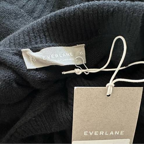 Everlane  The Cashmere Oversized Turtleneck Sweater Black