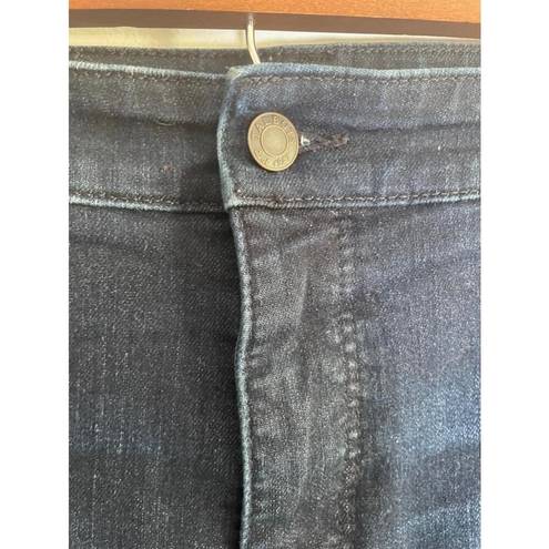 Talbots  Jeans Plus Size 22W Blue Simply Flattering Five Pocket Skinny EUC!