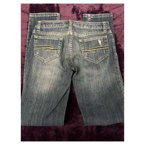 Arizona Jean Company Arizona Skinny Jeans