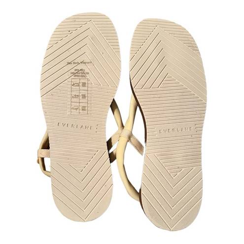 Everlane Balsa Lycra Swim Sandals Size 8