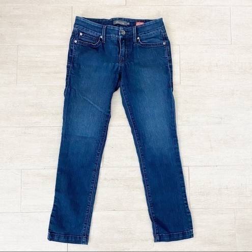 Anthropologie Anthro Level 99 Lily Crop Skinny Straight Jeans