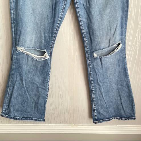 American Eagle Kick Boot Stretch Denim Jeans Distressed Knee Womens 14 Short