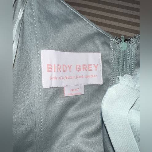 Birdy Grey Pretty New  Spence Sage Chiffon Gown!
