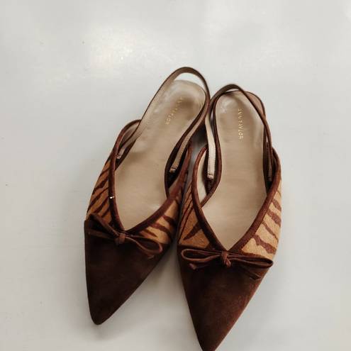 Ann Taylor NEW  Brown Zebra Print Calf Hair Fur Pointed Toe Flats WOMENS SIZE 7M