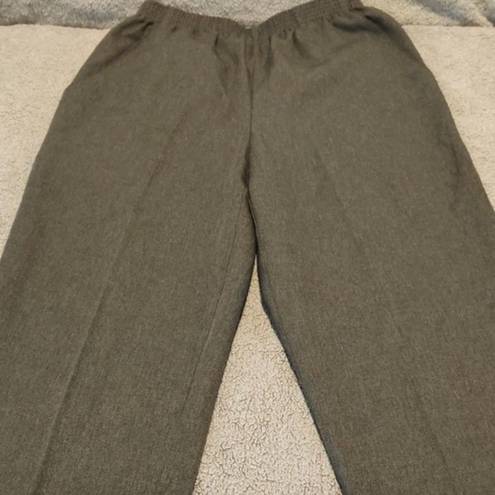 Briggs New York Womans Briggs Elastic Waist Pants Size 6P #1466