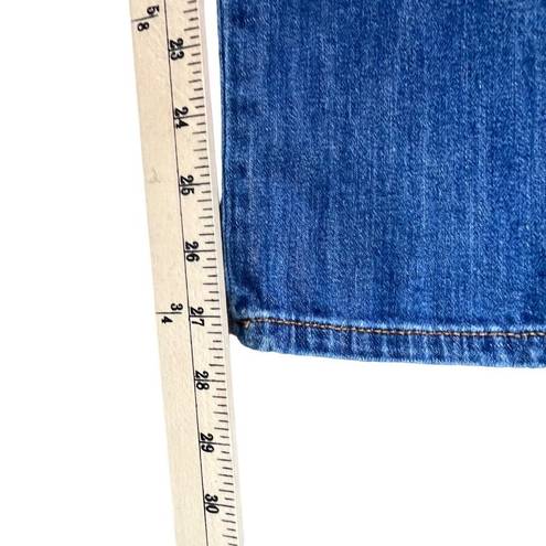 Pilcro  Anthropologie Jeans Womens 27 Blue Patchwork Slim Boyfriend High Rise