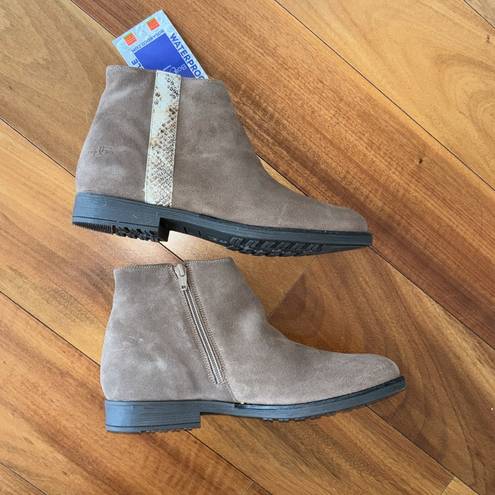 Krass&co NWT Bos. &  suede boots