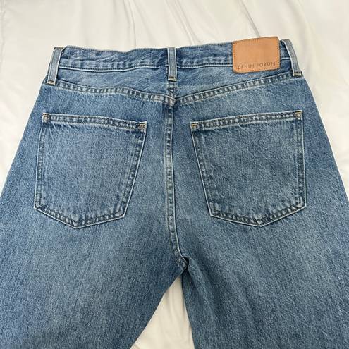 Aritzia Denim Forum The 90’s Iggy Lo-Rise Baggy