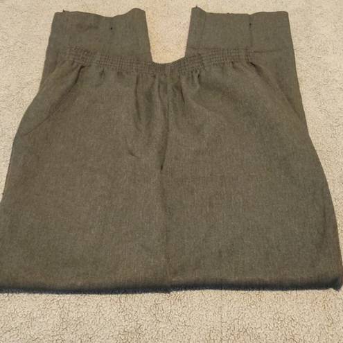 Briggs New York Womans Briggs Elastic Waist Pants Size 6P #1466