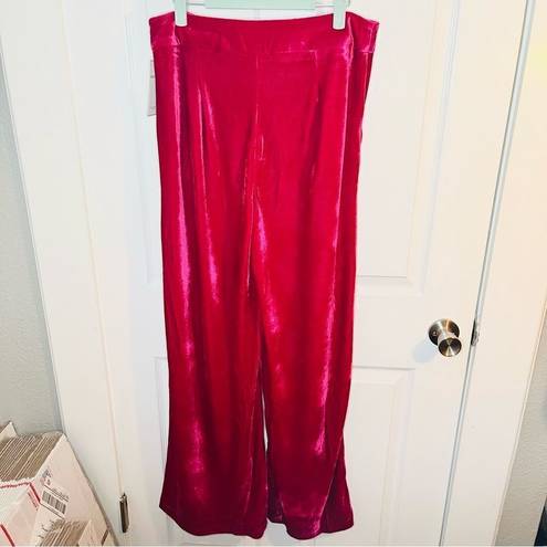 Aura  Still Bejeweled Hot Pink Velvet Wide Leg Pants Pleated L