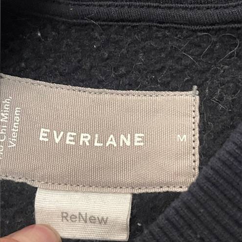 Everlane  Sherpa Sweater Crew