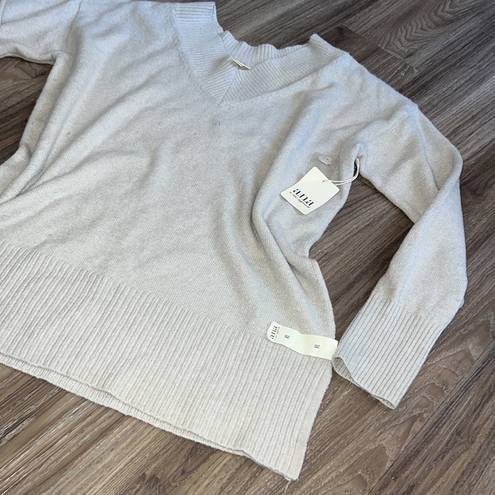 a.n.a  V neck sweater