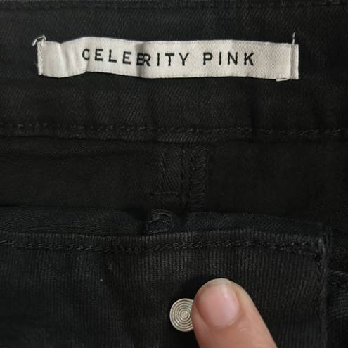 Celebrity Pink  Skirt Women's 3/26 Black Denim Festival Stretch Short Pockets