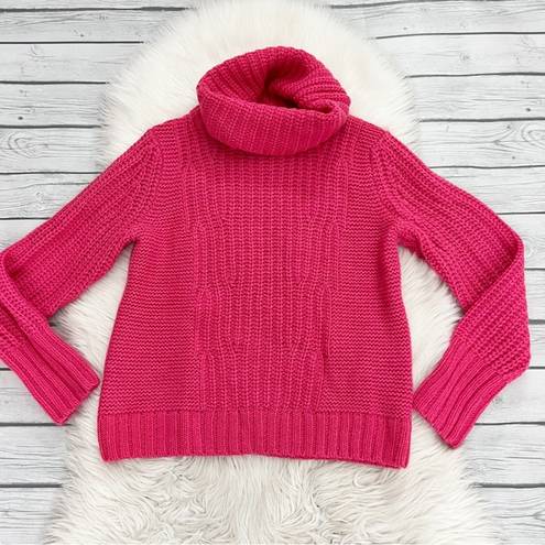 Banana Republic  Alpaca/Merino Wool Blend Chunky Cowl Neck Pink Sweater