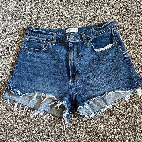 Abercrombie & Fitch  Curve Love High Rise Mom Short Size 12