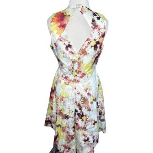 Hunter Bell Anthropologie‎  New York Kukka Tea Sleeveless Watercolor Dress Size 4