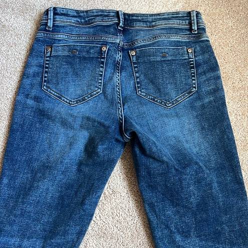 J.Jill Authentic Fit Blue Floral Embroidered Jeans. Size 4Tall