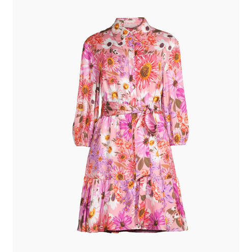 Rachel Parcell  Pink Botanical Floral Long-Sleeve Tiered Shirt Dress Size 12