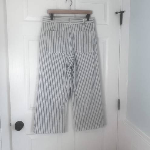 Madewell Emmett Wide Leg Crop Blue & White Striped Button Fly Pants Size 31