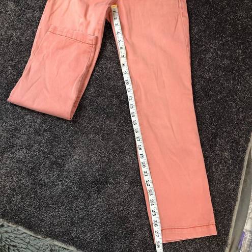 Pilcro  Pink Hyphen Chino Pants Size 26P Embroidered Floral Waist - 30x28 actual